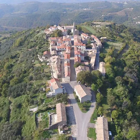 Belvedere Krusvari *